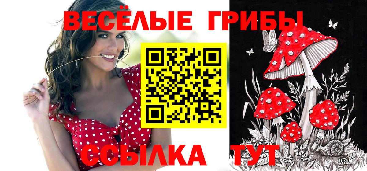 Псилоцибиновые грибы Magic Shrooms Полевской