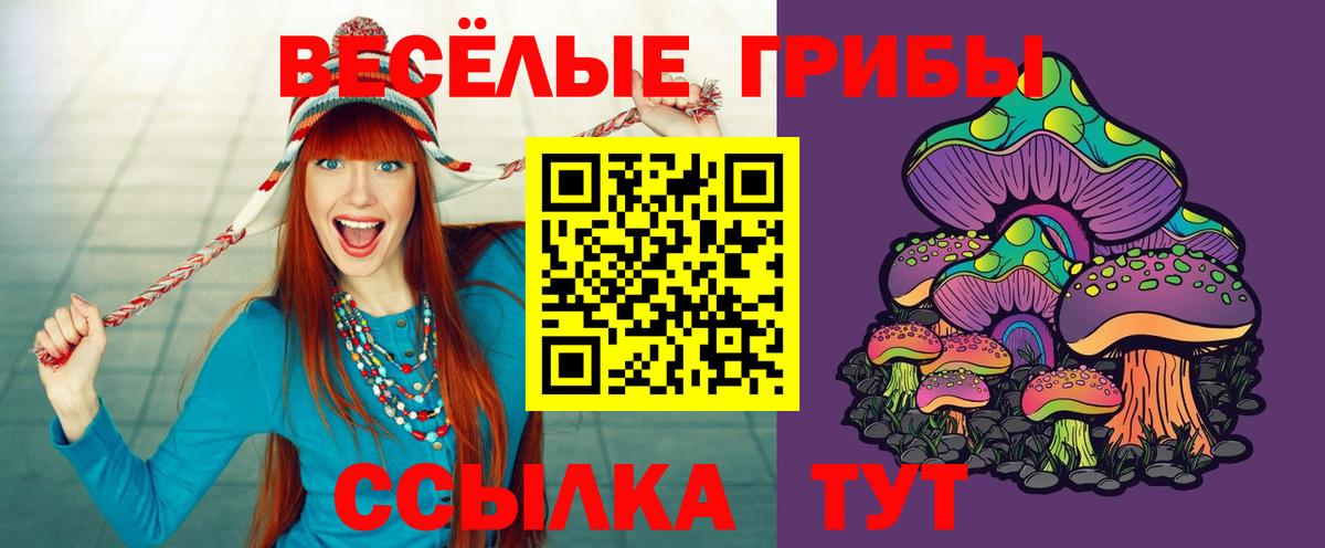 Псилоцибиновые грибы GOLDEN TEACHER  купить наркотики сайты  Полевской  Вход с VPN 